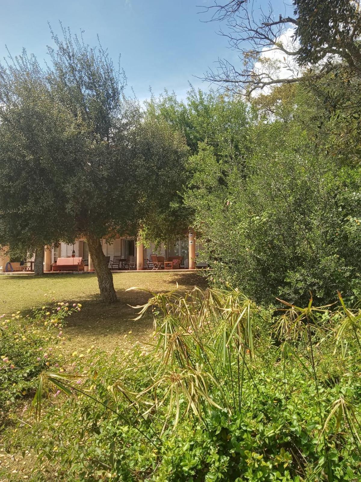 Sotogrande. Estancia Privada En Plena Naturaleza Exterior foto
