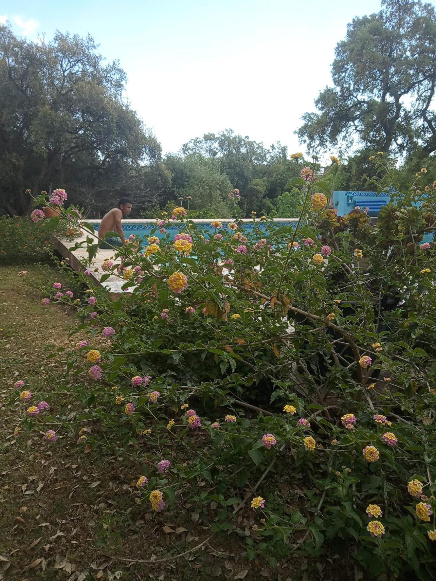 Sotogrande. Estancia Privada En Plena Naturaleza Exterior foto